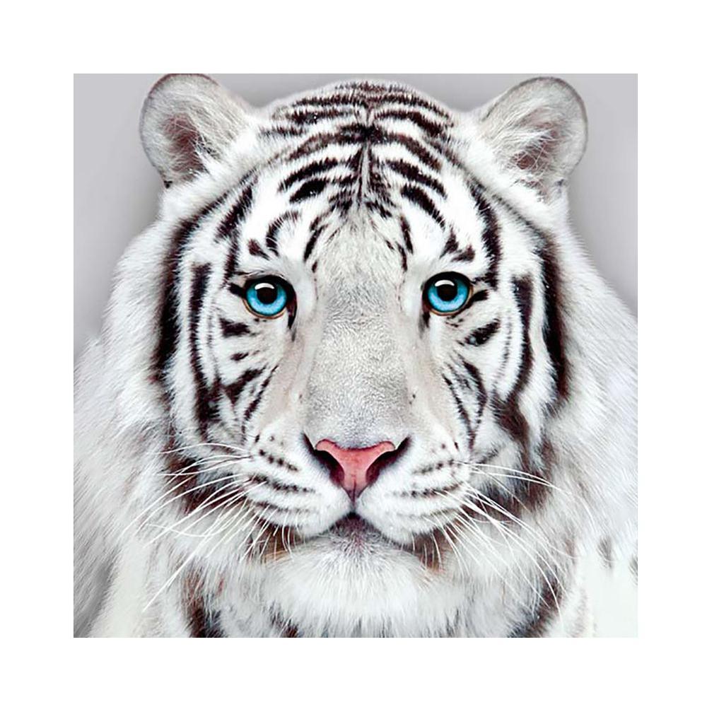 Free White Tiger - MyCraftsGfit - Free 5D Diamond Painting