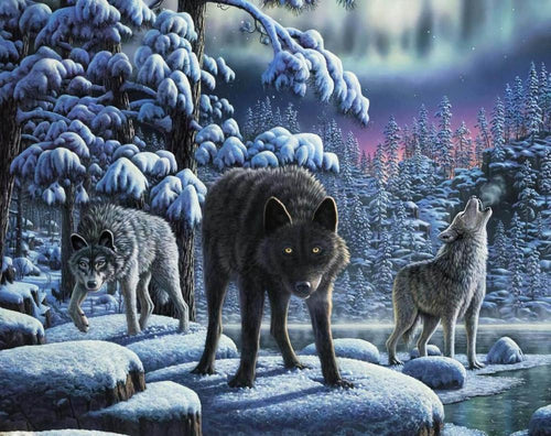 Free Wolf - MyCraftsGfit - Free 5D Diamond Painting