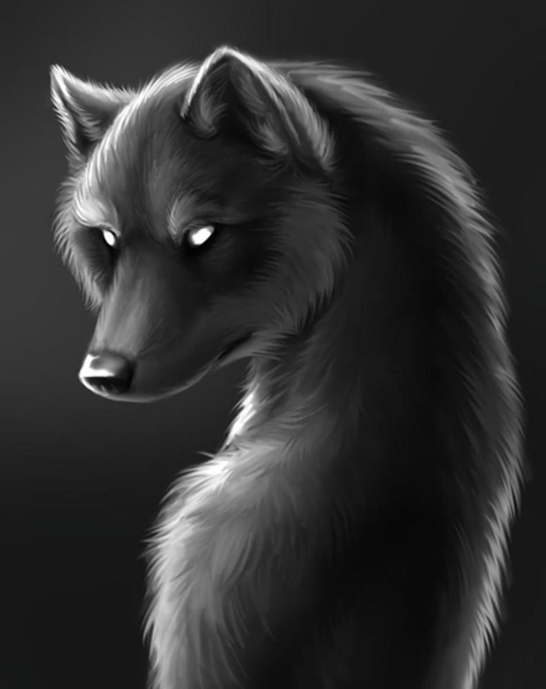 Free Wolf - MyCraftsGfit - Free 5D Diamond Painting