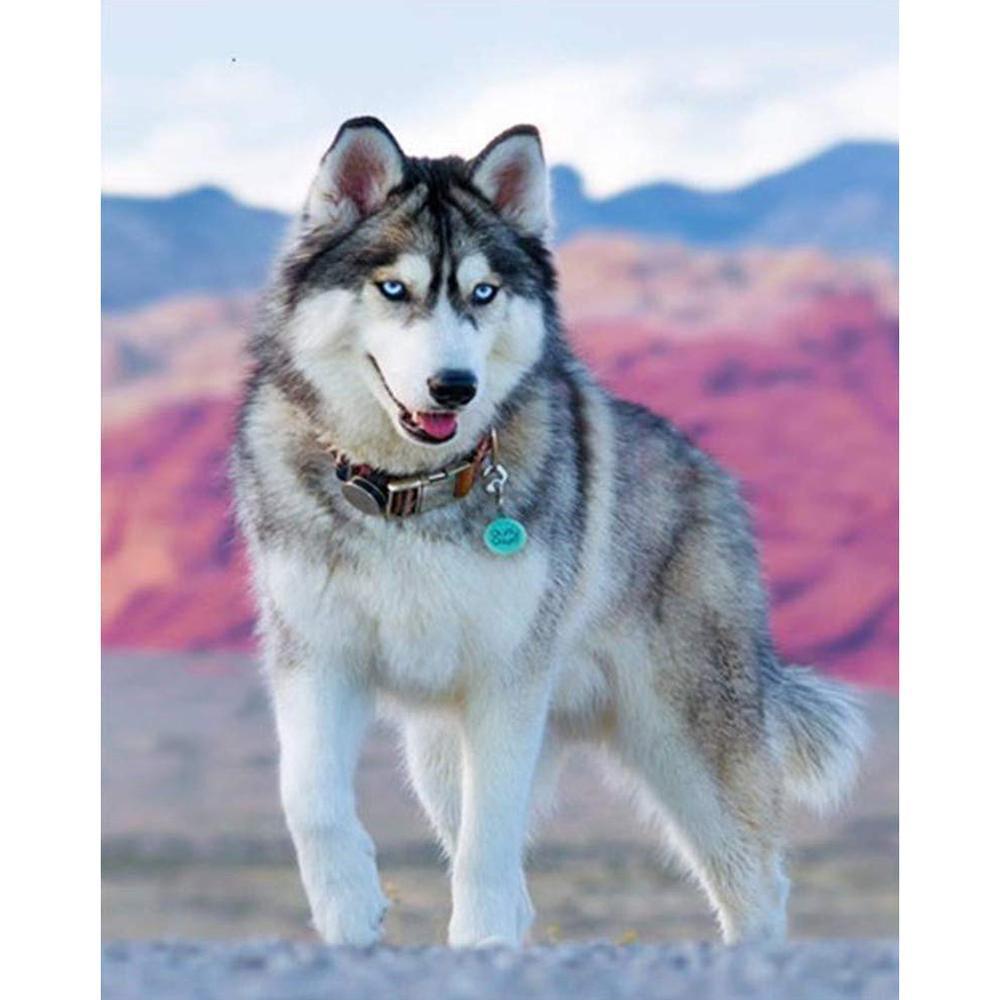 Free Wolf - MyCraftsGfit - Free 5D Diamond Painting