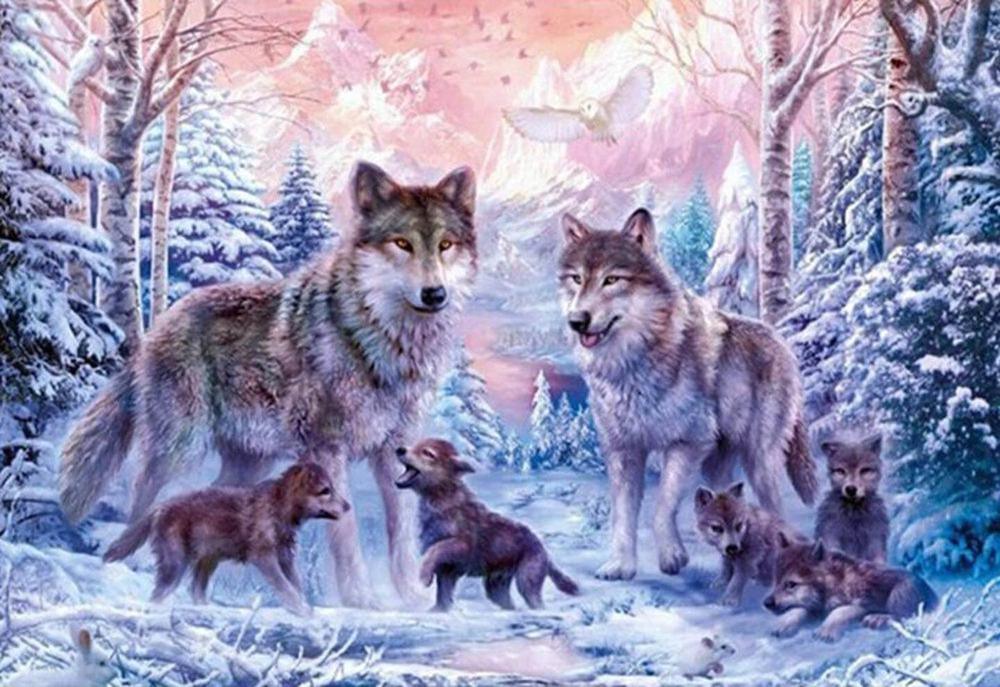 Free 5D Diamond Painting Kits Wolf freeshipping - MyCraftsGfit - 5D Diamond Painting