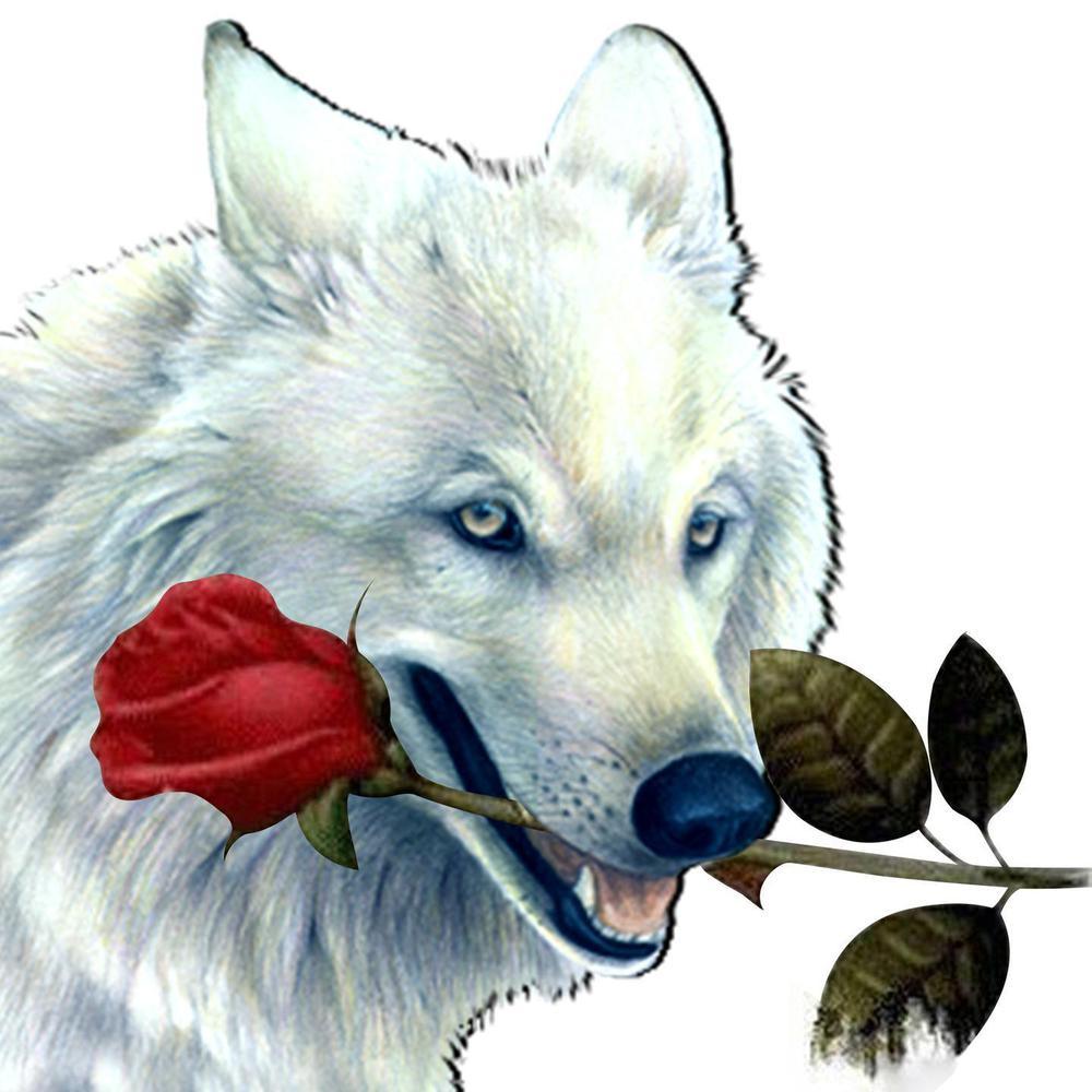 Free Wolf - MyCraftsGfit - Free 5D Diamond Painting